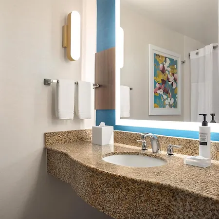 Hilton Garden Inn Fort Myers Airport/Fgcu-3
